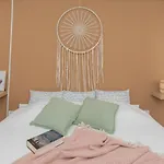 Moon And Dream * 布罗达里卡